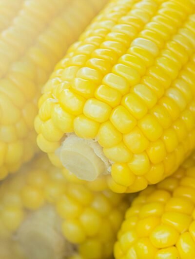 CEREALES y GRANOS - DEMANDA